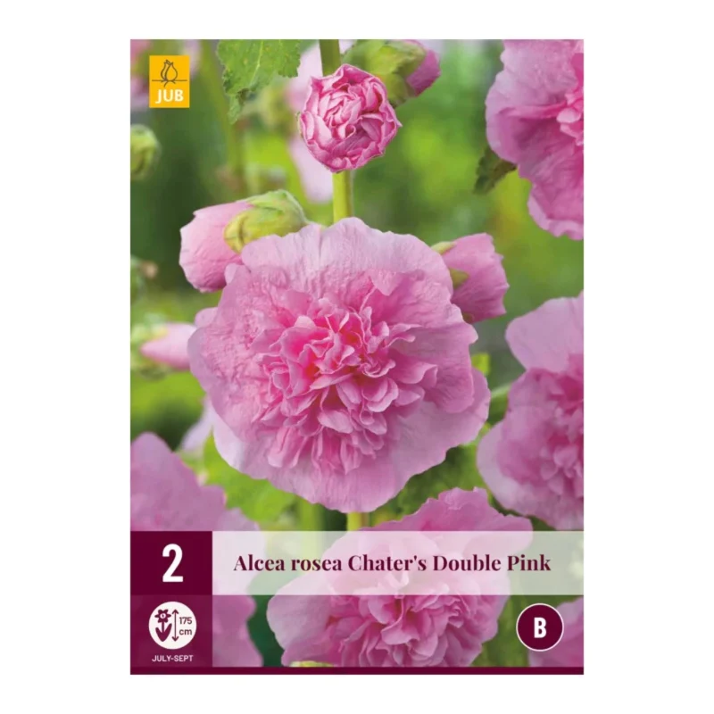 Alcea Rosea Chater's Double Pink (Tasche 2 Stück)