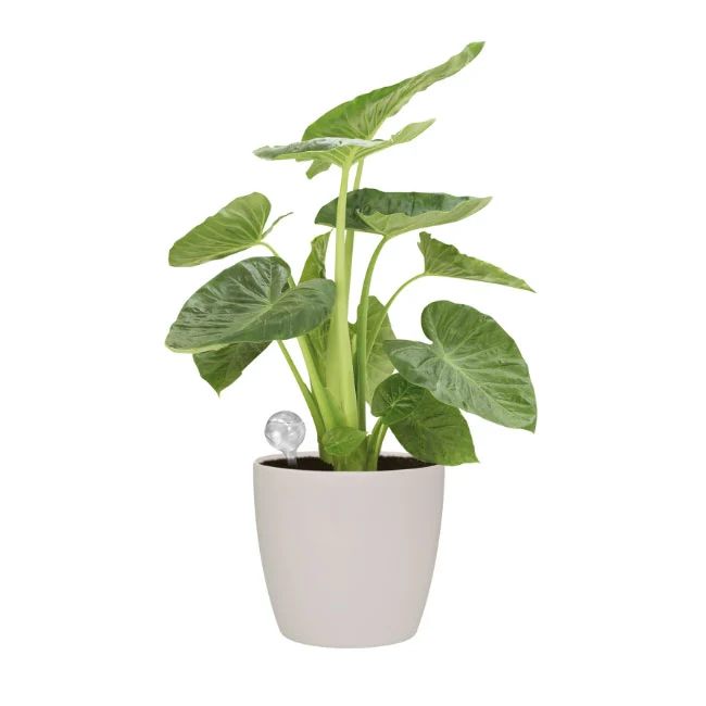 Elho Aqua Care - Image 3