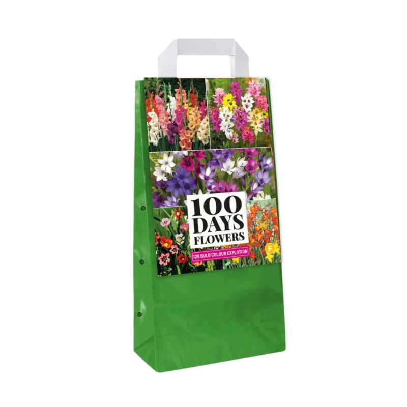 Blumenzwiebeltasche Colour Explosion (Tasche 125 Stück)