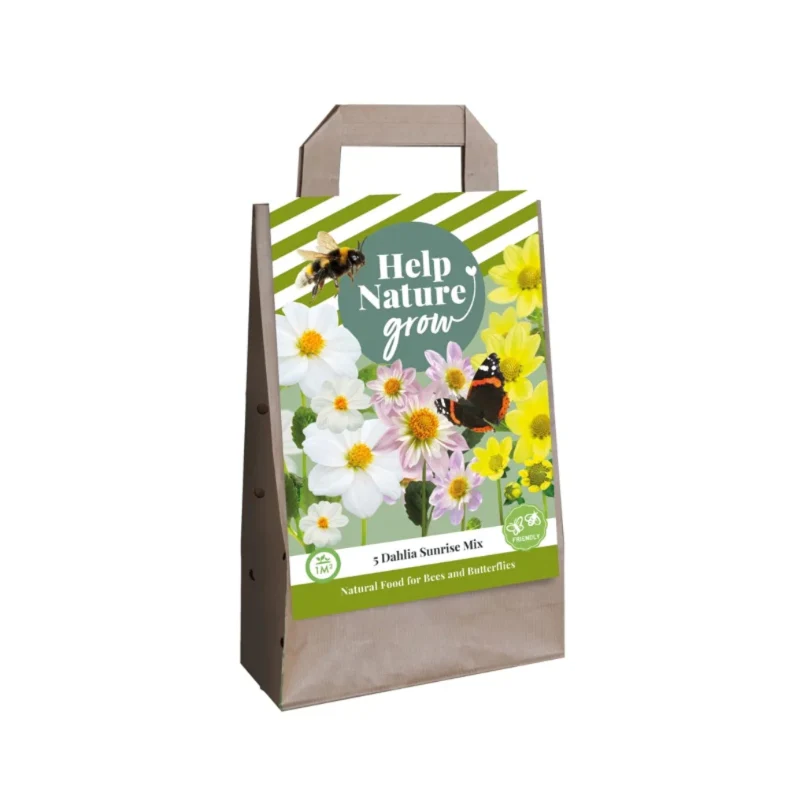 Blumenzwiebeltasche Dahlie Sunrise Mix (Für 1 m2)