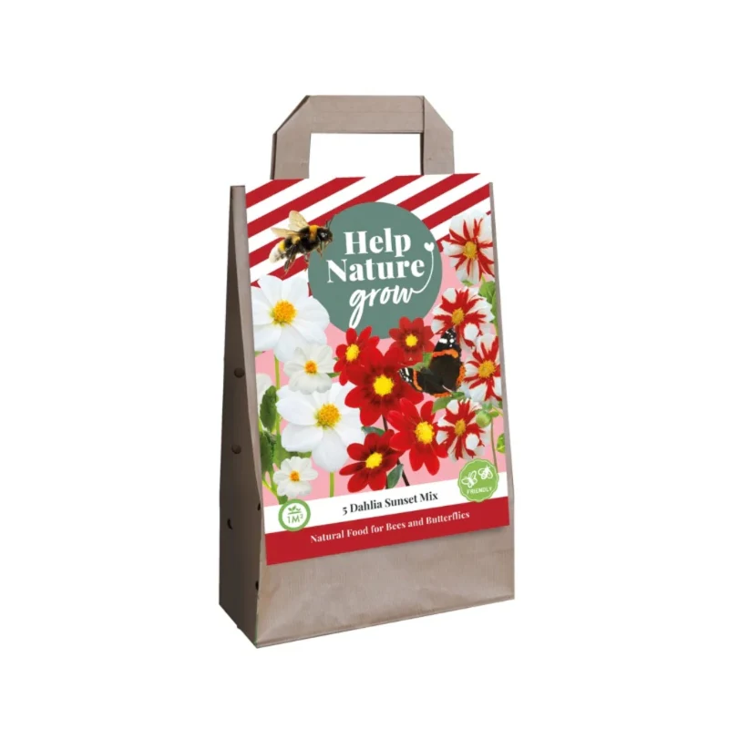 Blumenzwiebeltasche Dahlie Sunset Mix (Für 1 m2)