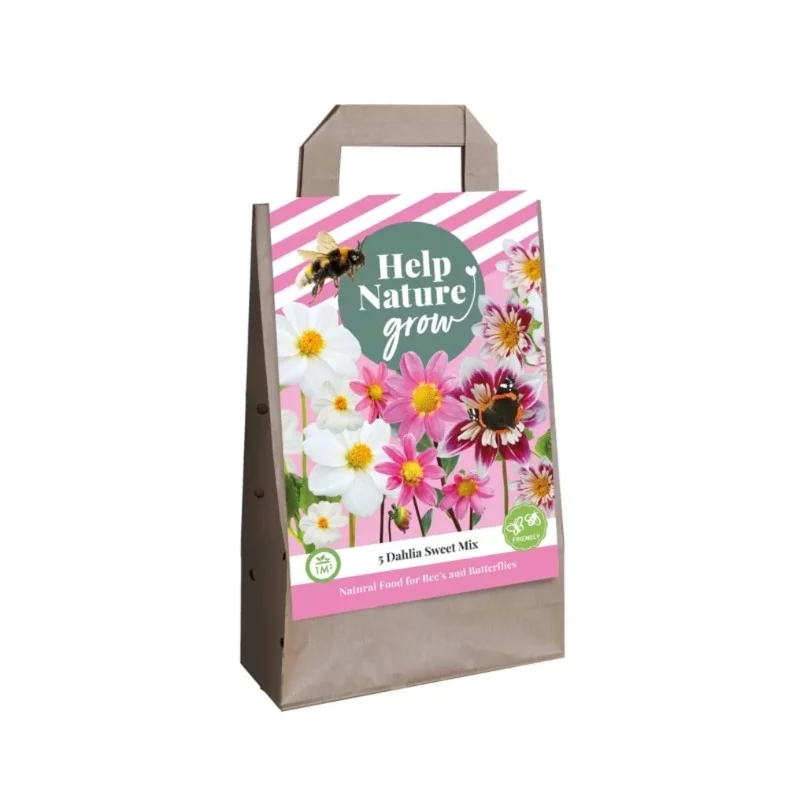 Blumenzwiebeltasche Dahlie Sweet Mix (Für 1 m2)