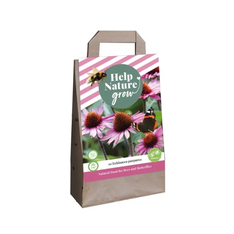 Blumenzwiebeltasche Echinacea purpurea (Für 1 m2)
