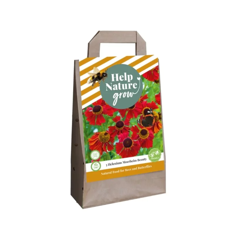 Blumenzwiebeltasche Helenium Moerheim Beauty (Für 1 m2)