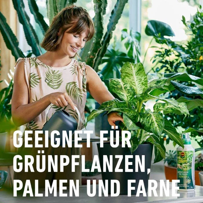 COMPO Grünpflanzen- und Palmendünger - Image 5