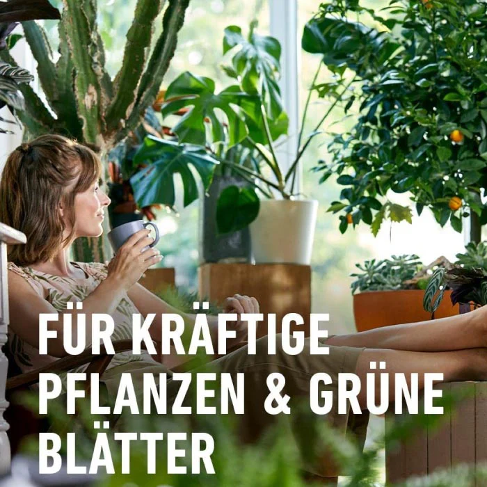 COMPO Grünpflanzen- und Palmendünger - Image 6
