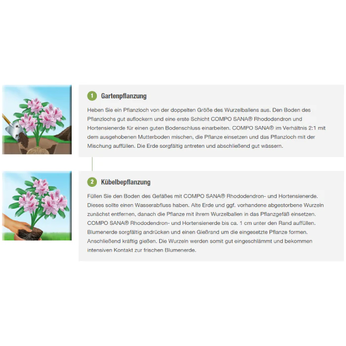 COMPO SANA® Rhododendron- und Hortensienerde - Image 5