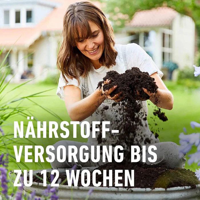 COMPO SANA® Grünpflanzen- und Palmenerde - Image 5