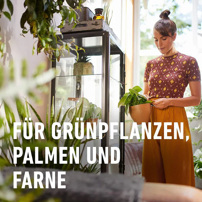 COMPO SANA® Grünpflanzen- und Palmenerde - Image 7