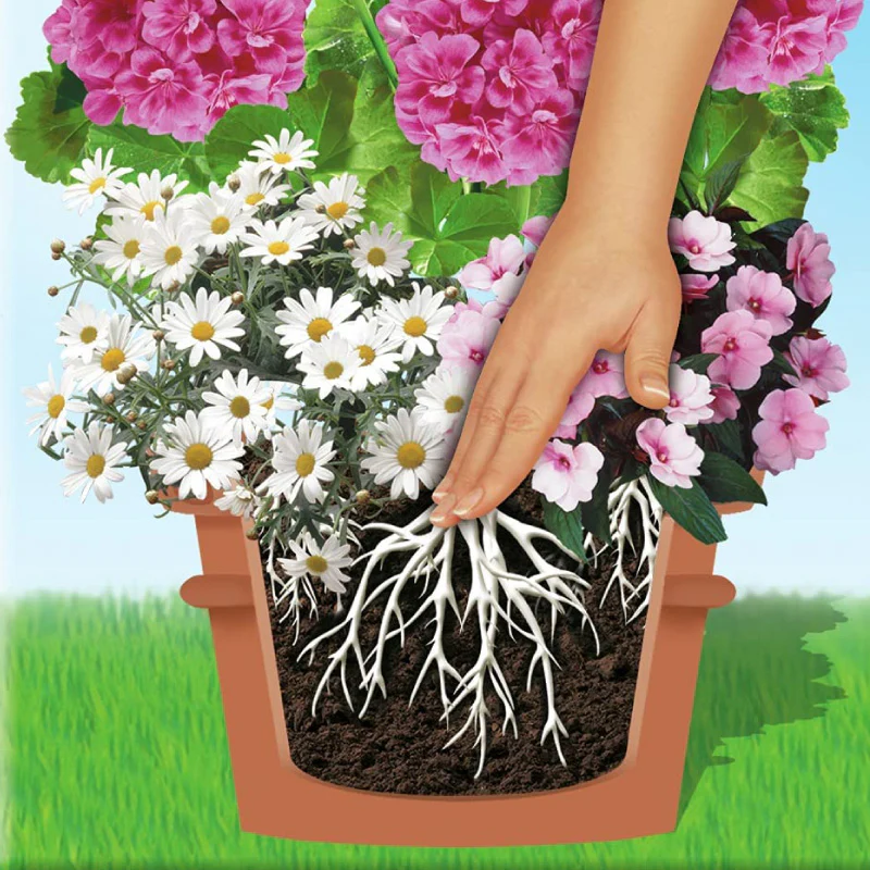 COMPO SANA Qualitäts-Blumenerde - Image 5