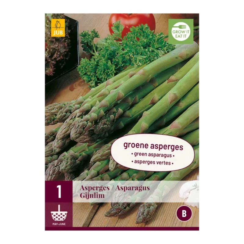 Grüner Spargel (Tasche 1 Stück)