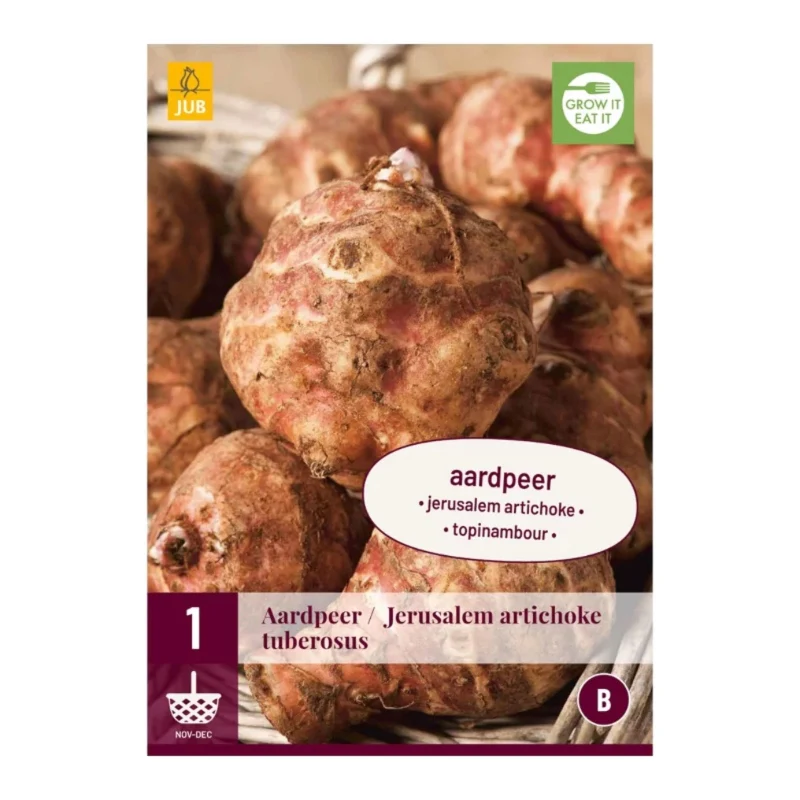 Helianthus Tuberosus (Tasche 1 Stück)