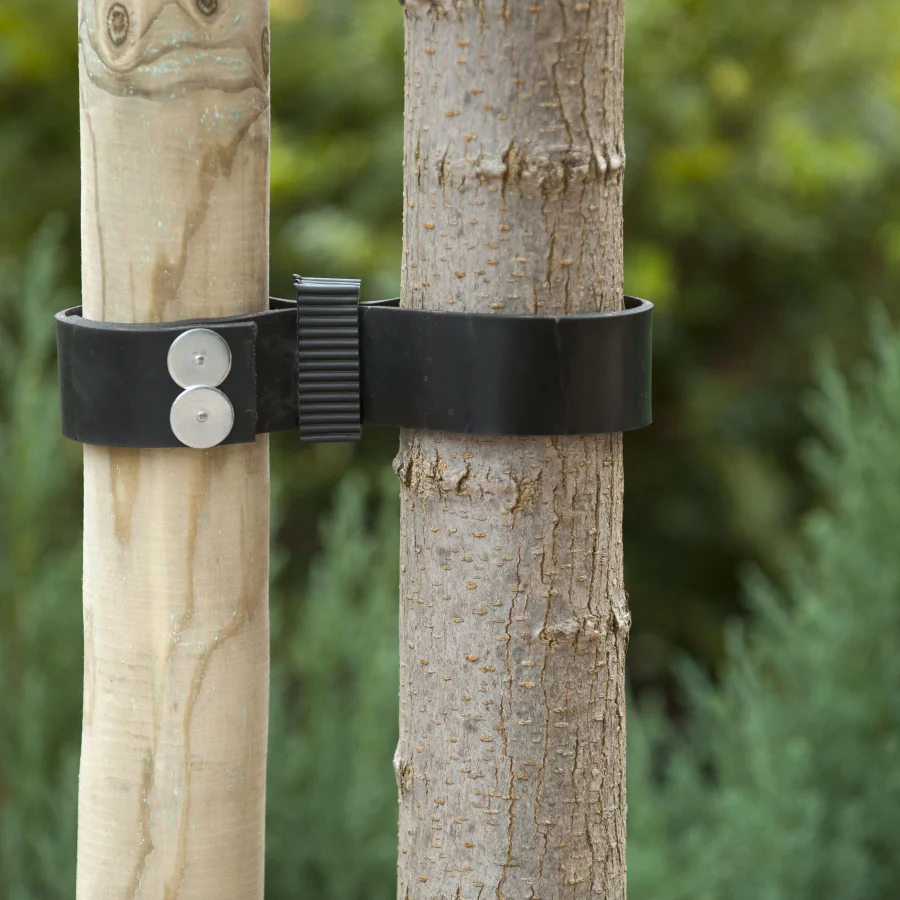 Kautschuk-Baumband 90 x 3,8 cm - Image 2