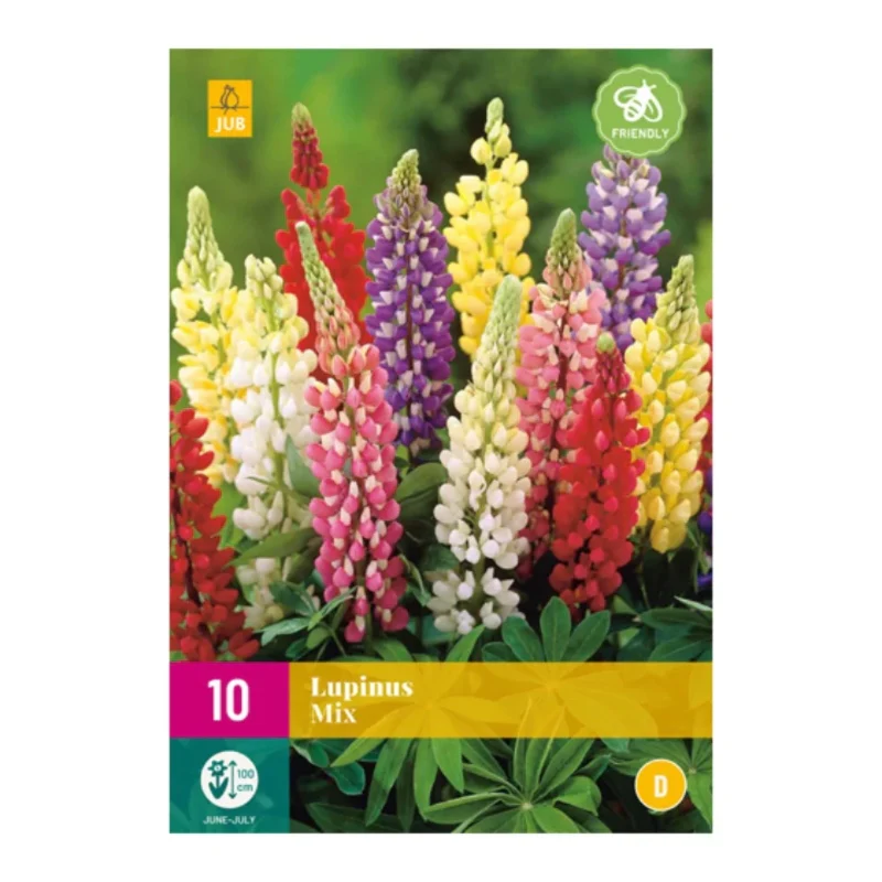 Lupinus Mischung (XXL-Tasche 10 Stück)