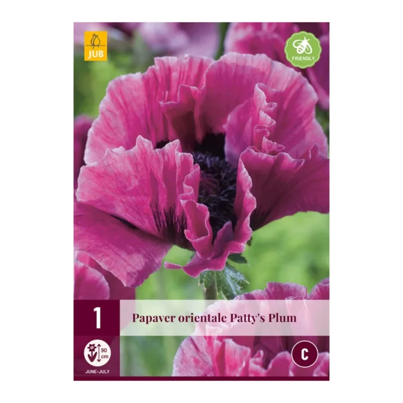 Papaver Orientale Patty's Plum (Tasche 1 Stück)
