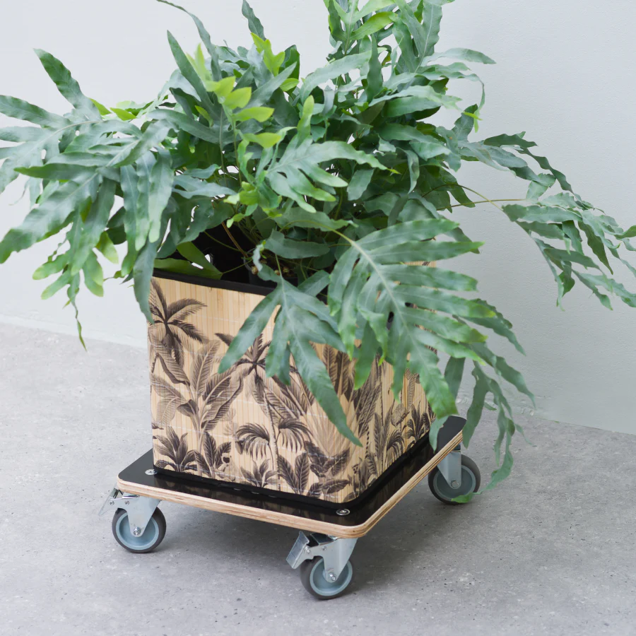 Pflanzentrolley - FSC® Holz - Image 3