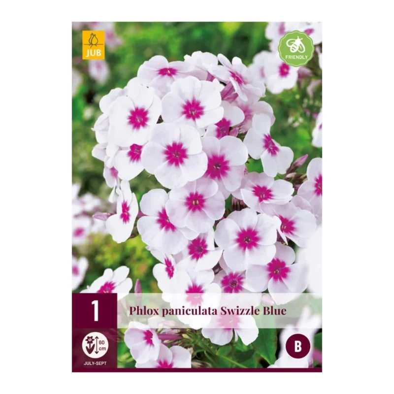 Phlox Paniculata Swizzle Blue(Tasche 1 stück)