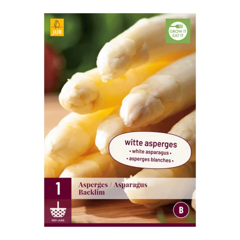 Weisser Spargel (Tasche 1 Stück)