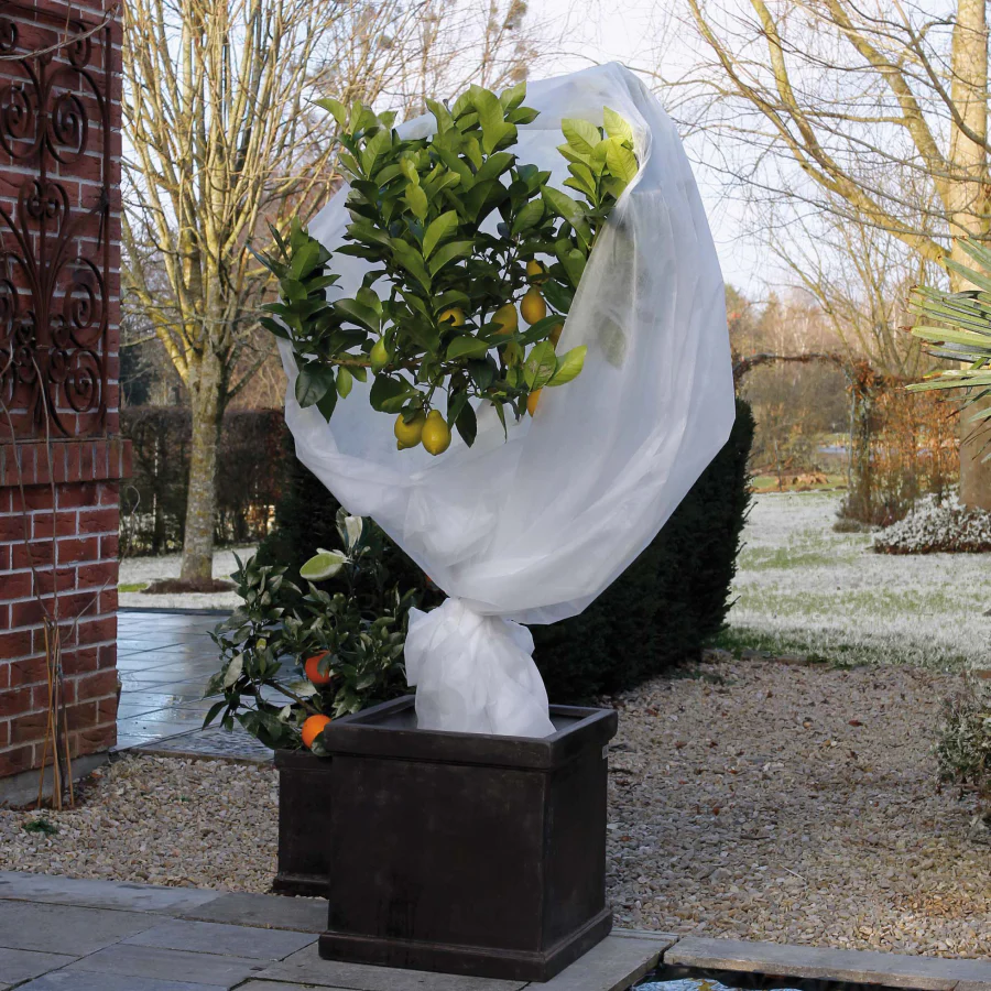 Winterschutzvlies weiß - Image 2