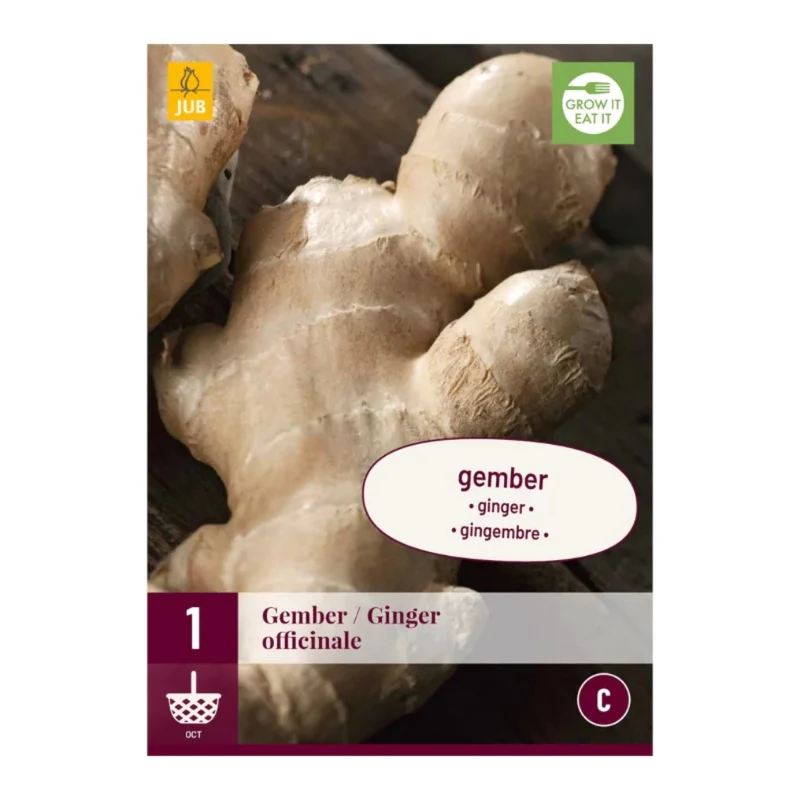 Zingiber Officinale (Tasche 1 Stück)